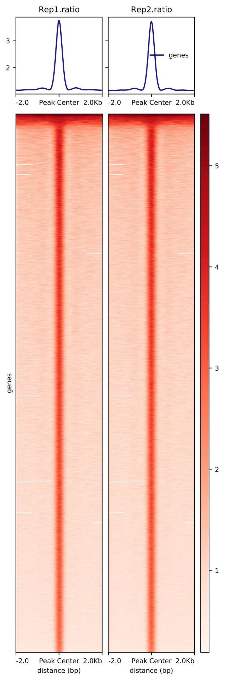 Dapping Vector DAP-seq:无需抗体,高效鉴定转录因子结合位点-广州新蓝基因 专注表观测序服务